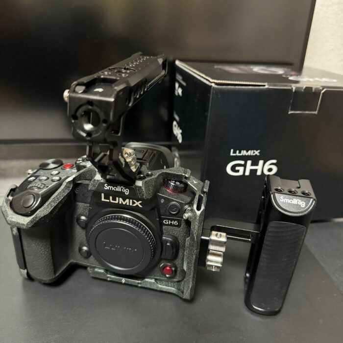 Panasonic Lumix GH6 - Image 10