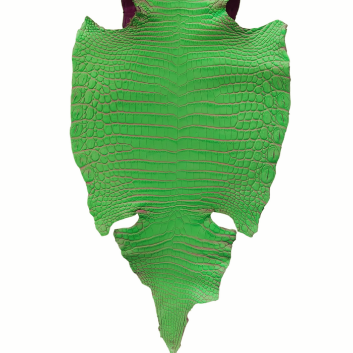 Exotic Leathers (e.g., Crocodile, Ostrich) - Image 11