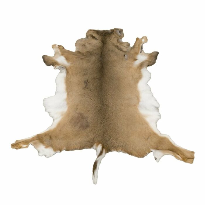 Hides - Image 12