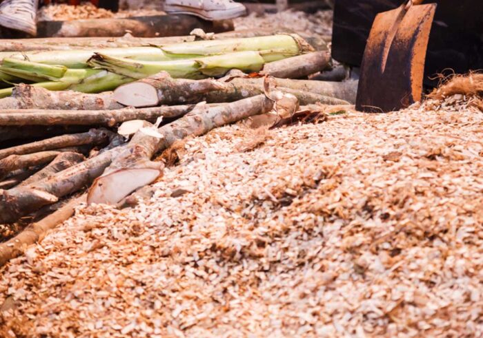 Wood Pulp - Image 7