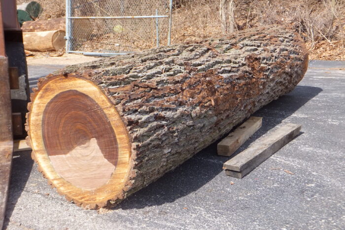 Hard Logs - Image 11