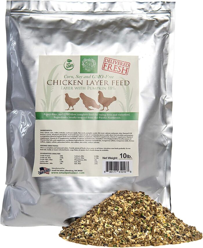 Guangdong Evergreen Layer Feed - Image 4