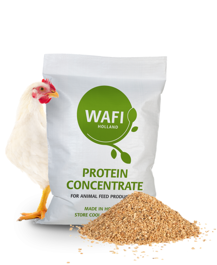 East Hope Group Layer Feed