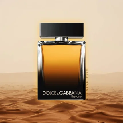 Dolce & Gabbana The One for Men