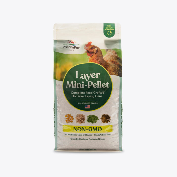 Guangdong Evergreen Layer Feed - Image 6