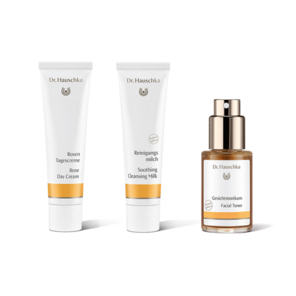 Dr. Hauschka Rose Day Cream