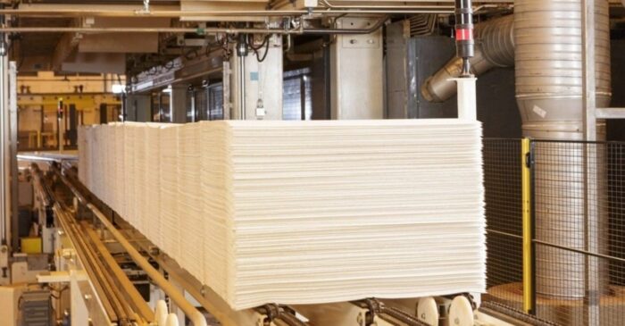 Eucalyptus Pulp