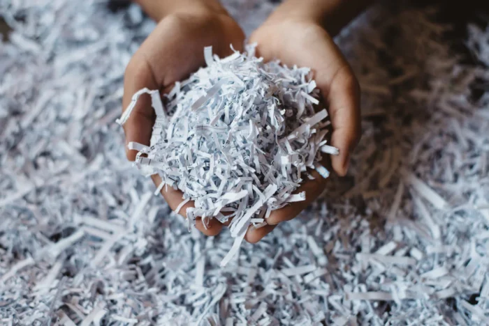 Paper Scrap (e.g., cardboard, office paper) - Image 4
