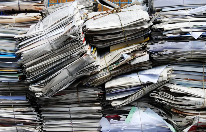 Paper Scrap (e.g., cardboard, office paper) - Image 9