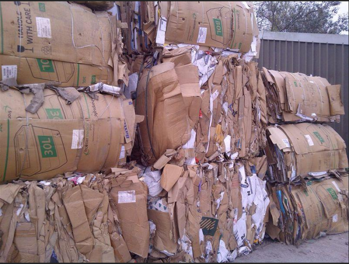 Paper Scrap (e.g., cardboard, office paper) - Image 10