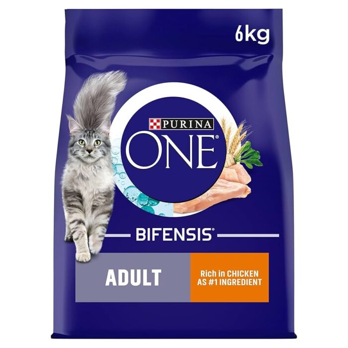 Purina ONE Cat Food (Bulk Pack)