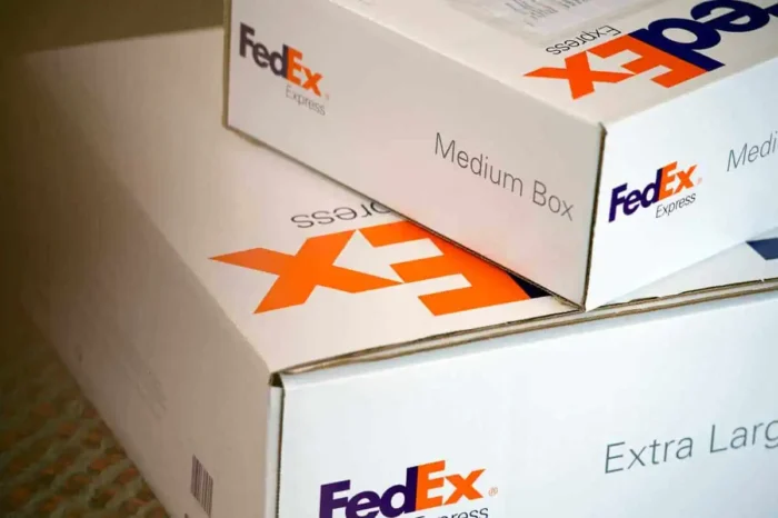 FedEx Large Foldable Courier Pouch (Heavy Duty) - Image 2