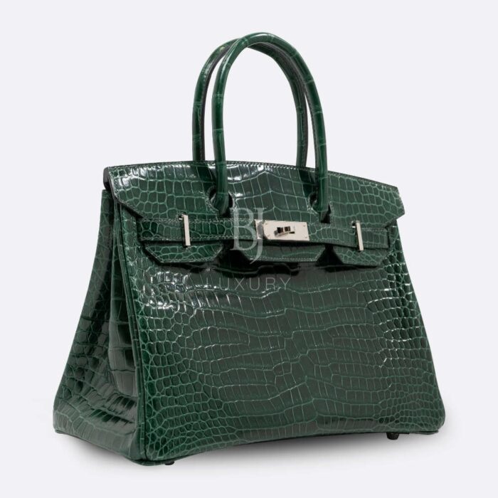 Hermès Birkin Diamond Crocodile Bag - Image 4