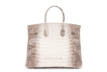 Hermès Himalaya Birkin 35 Crocodile with Diamonds