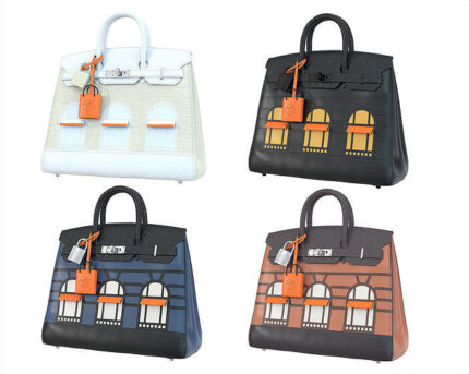 Hermès Faubourg Birkin