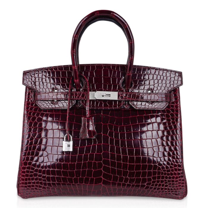 Hermès Birkin Diamond Crocodile Bag - Image 5